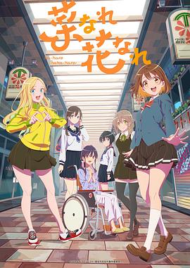 娄烦seo优化规划